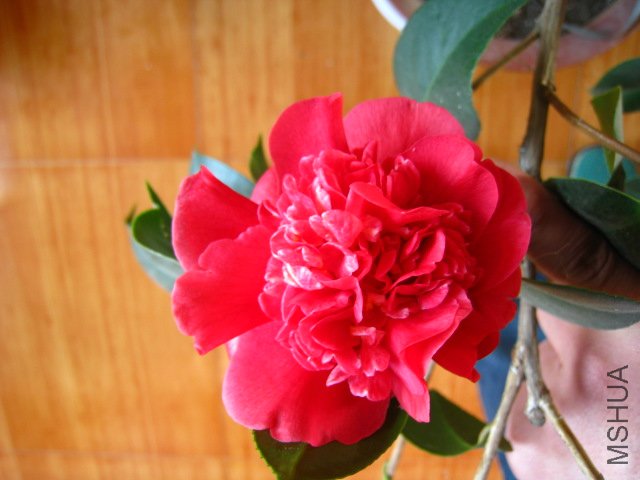 ��Ƭ 043.jpg