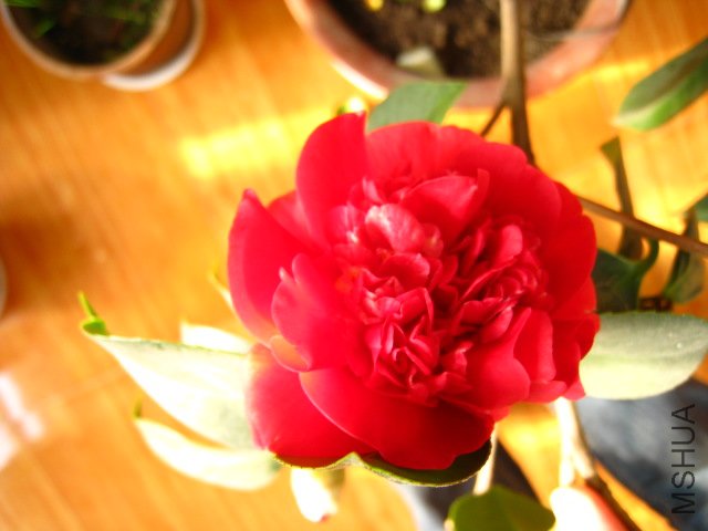 ��Ƭ 041.jpg