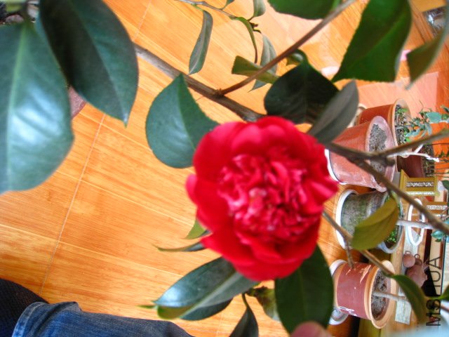 ��Ƭ 037.jpg