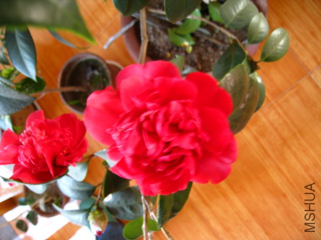 ��Ƭ 042.jpg