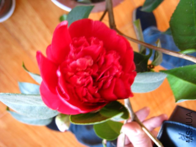 ��Ƭ 039.jpg