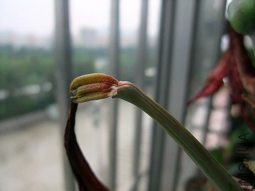 ʧ�ܵ��ӽ�����