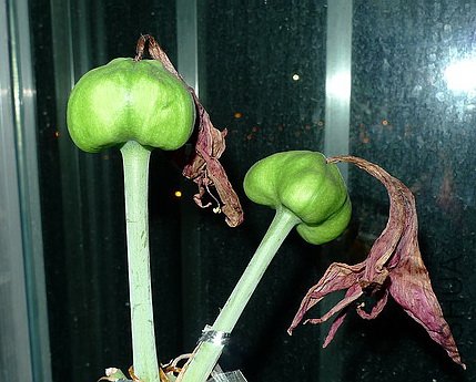 ��Ƭ 2774(500a).jpg