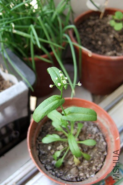 sDSCF2074.jpg