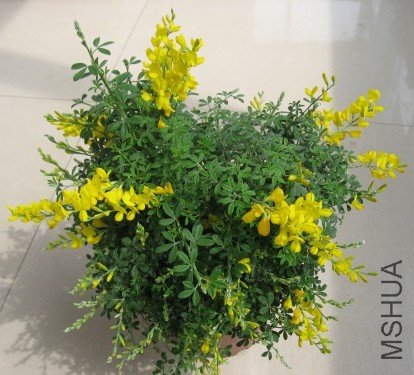 ����10.3.27 008.jpg