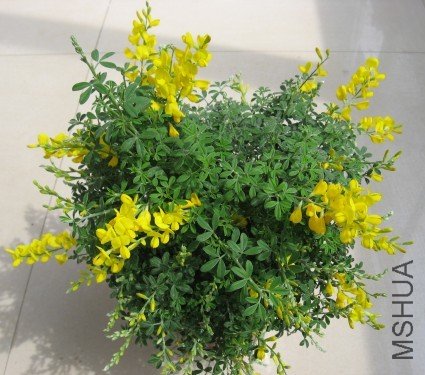 ����10.3.27 009.jpg