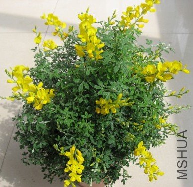 ����10.3.27 010.jpg