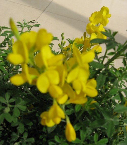 ����10.3.27 011.jpg