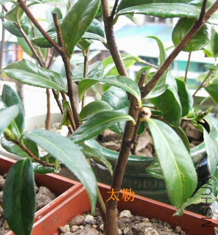 ������!!