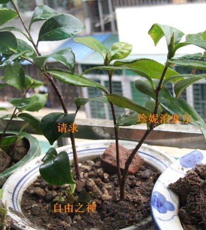 3����????����