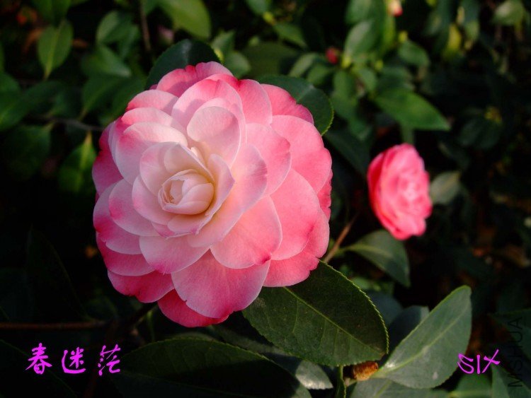 ����ã10-3-29 (2).jpg