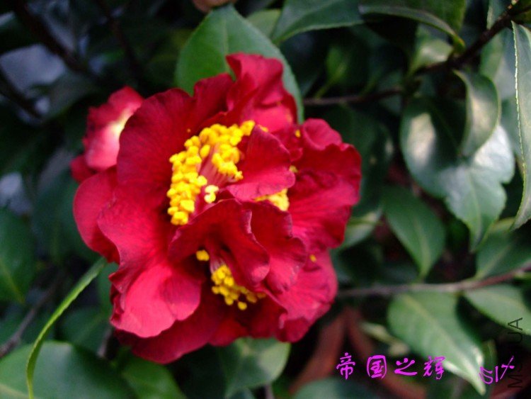 �۹�֮�� 10-3-29(1).jpg