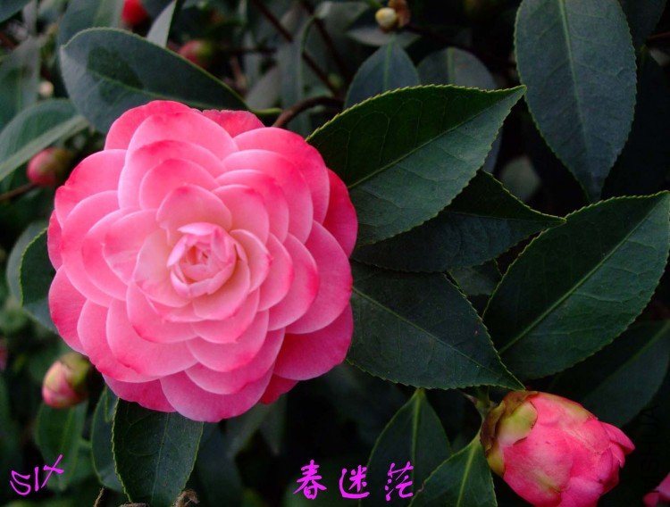 ����ã 10-3-28 (3).jpg