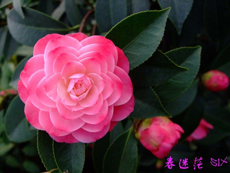 ����ã 10-3-28 (4).jpg