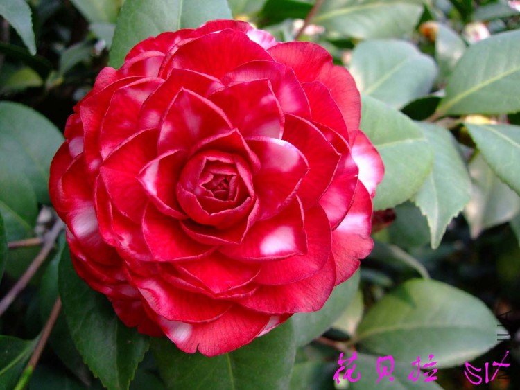 ������ 10-3-28(1).jpg