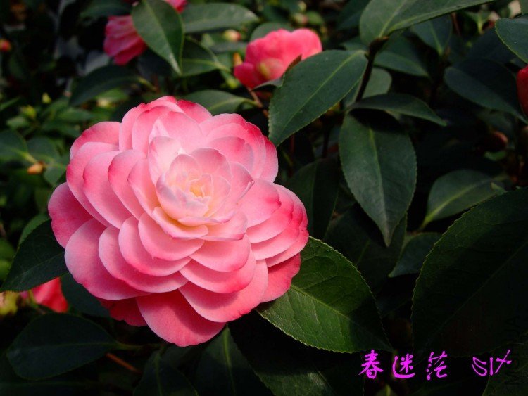 ����ã10-3-29 (3).jpg