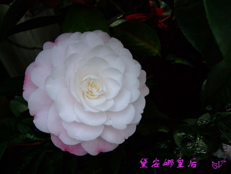 �찲��  10-3-27(1).jpg