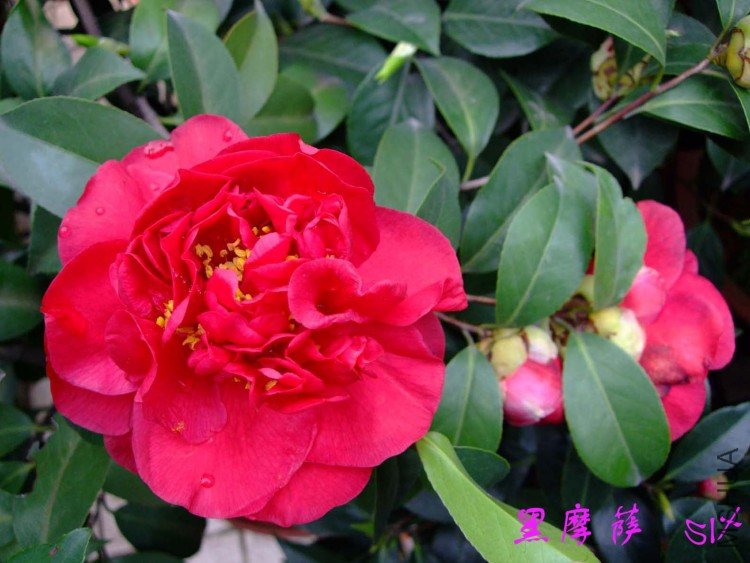 ��Ħ�� 10-3-29 (2).jpg