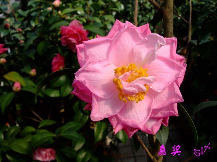 �ν� 10-3-29 (2).jpg