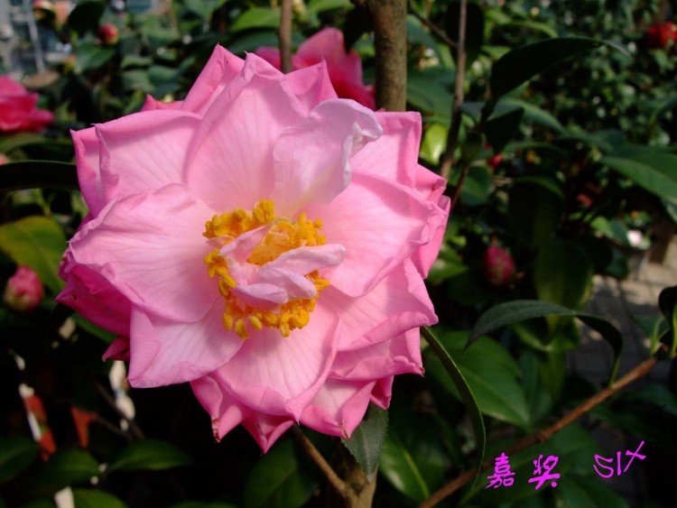 �ν� 10-3-29(1).jpg