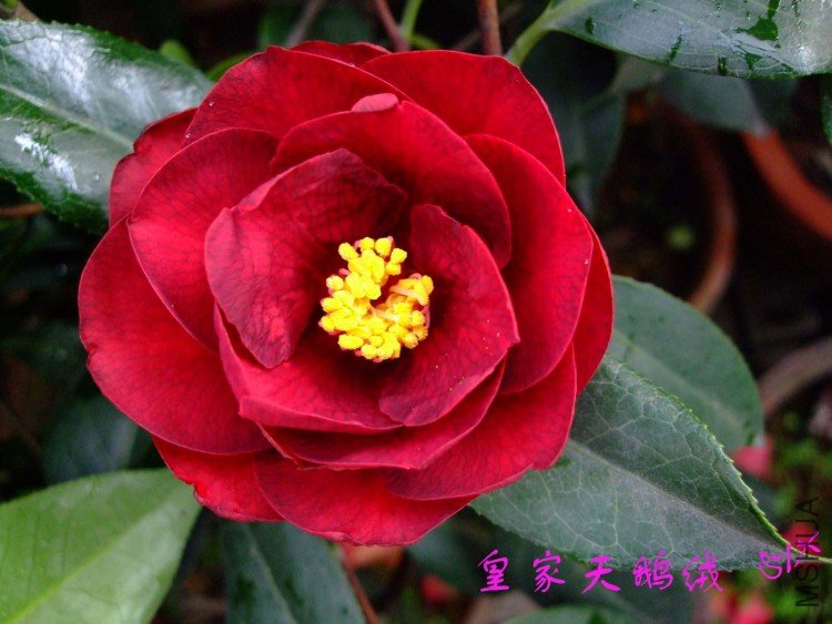 �ʼ������ 10-3-27(1).jpg