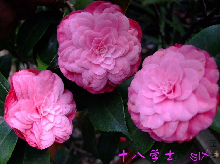 ʮ�� 10-3-28(1).jpg