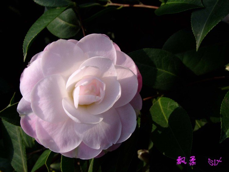 Ʈ�� 10-3-28(1).jpg