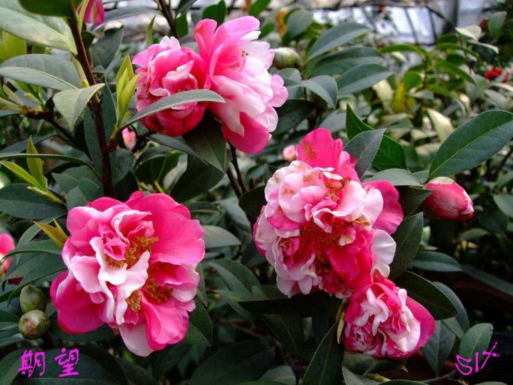 ���� 10-3-28(1).jpg