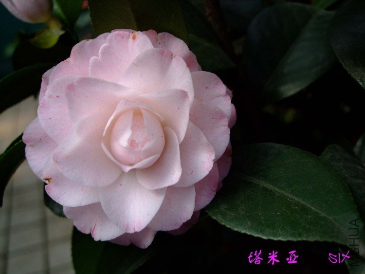 ������ 10-3-28(1).jpg