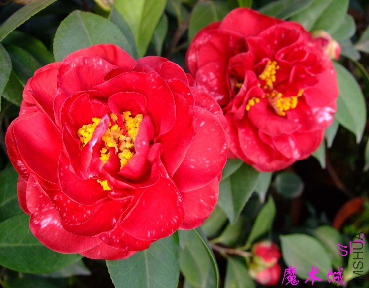 ħ���� 10-3-28 (2).jpg