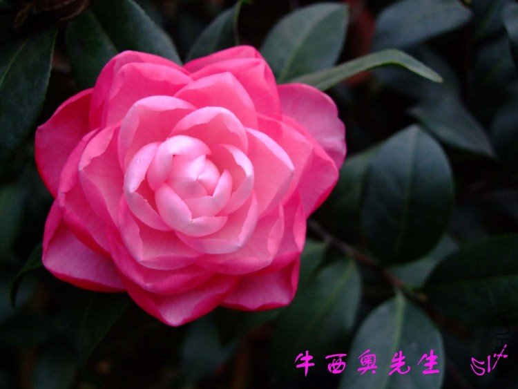 ţ����  10-3-28(1).jpg