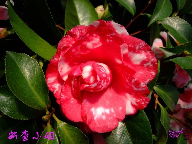 �²� 10-3-29(1).jpg