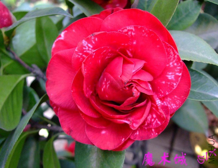 ħ���� 10-3-28 (3).jpg