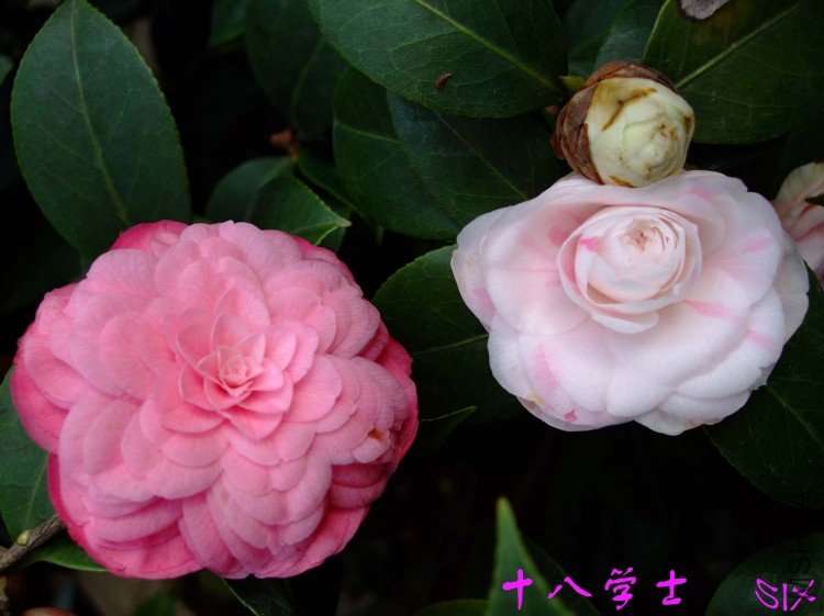 ʮ�� 10-3-28 (2).jpg