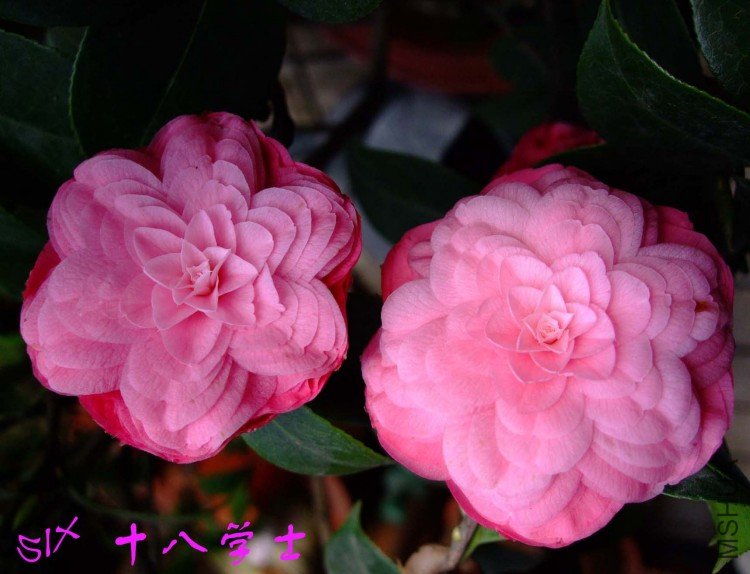 ʮ�� 10-3-28 (3).jpg