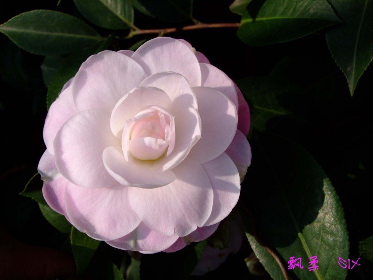 Ʈ�� 10-3-28 (2).jpg