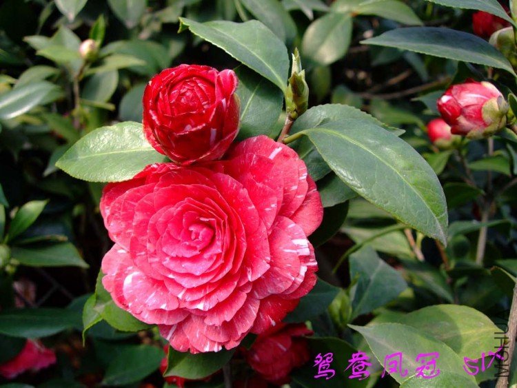 ԧ����10-3-29 (3).jpg