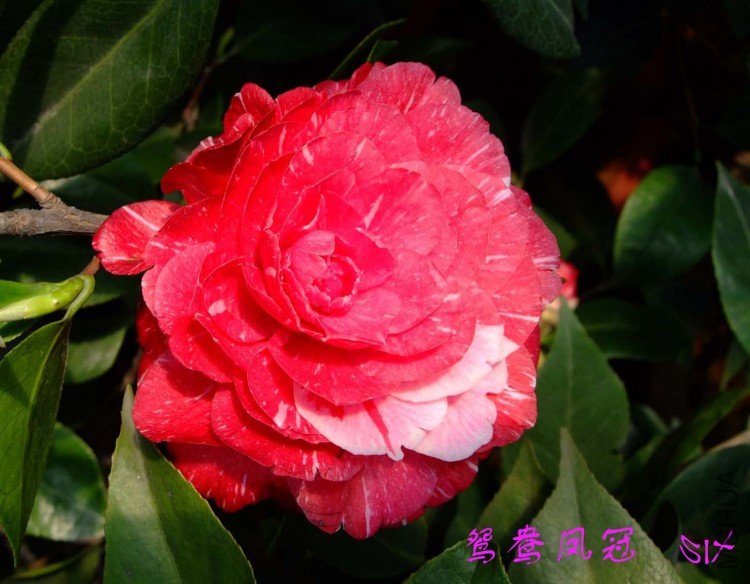 ԧ����10-3-29 (2).jpg