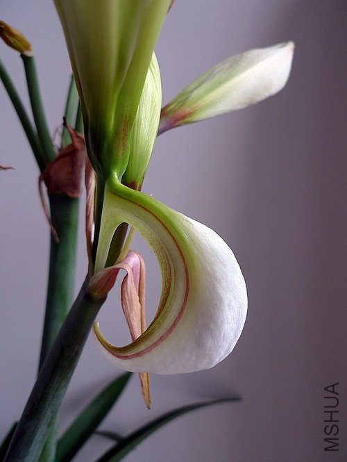 ��Ƭ 2849(500).jpg