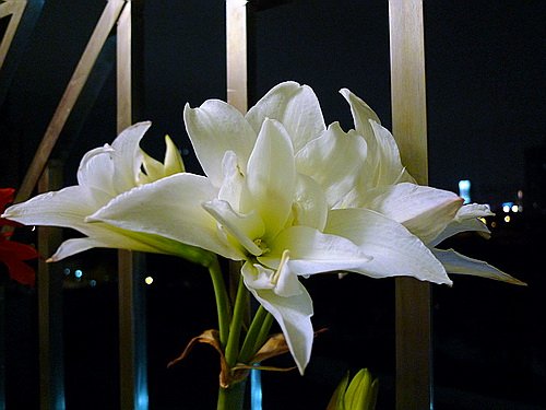 ��Ƭ 2815(500B).jpg