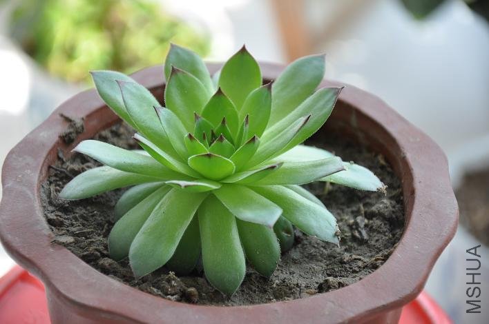 ��������������·賤���Ѿ���С�����ˡ�