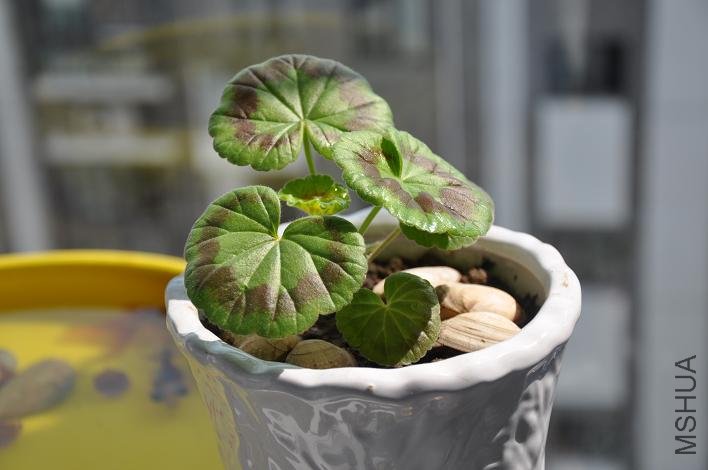 ���ÿ�Ҳ���������µı�����ѡ�