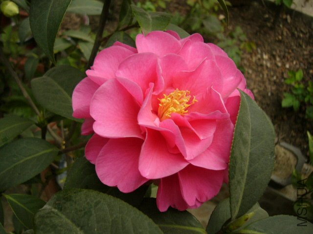 P1100210.JPG