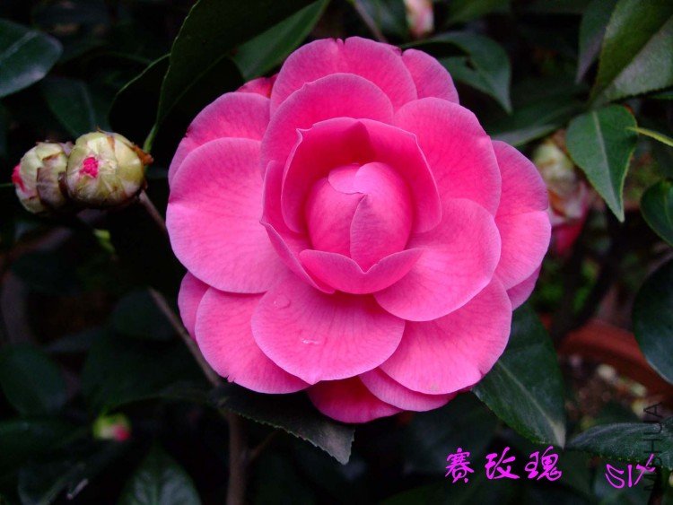 ��õ�� 10-3-30(2).jpg