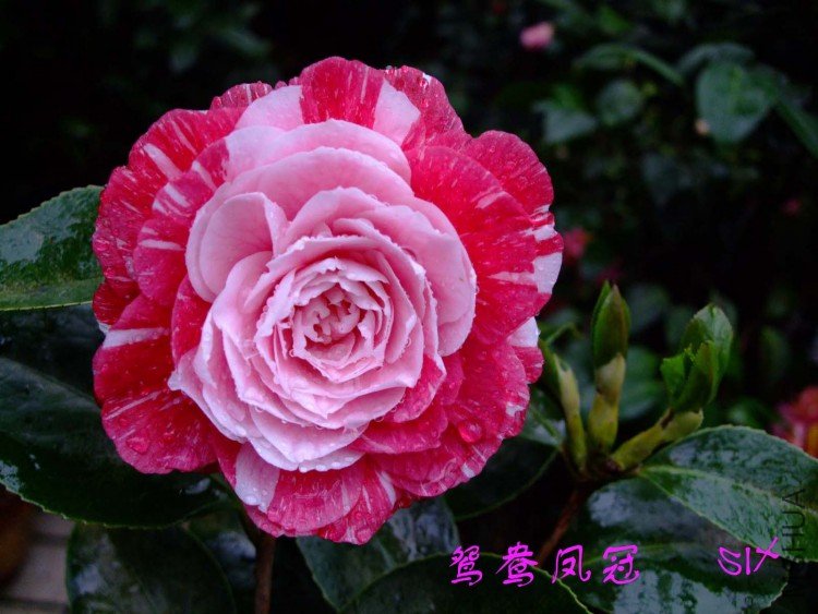 ԧ���� 10-3-30(2).jpg