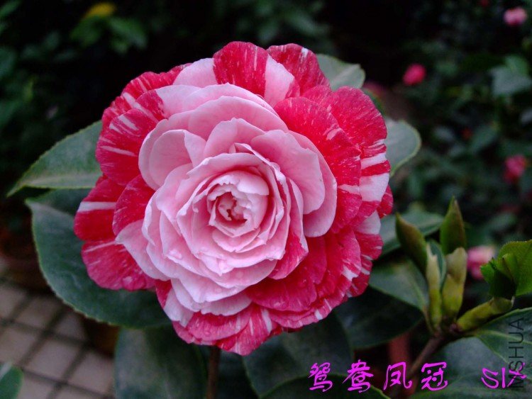 ԧ���� 10-3-30(1).jpg