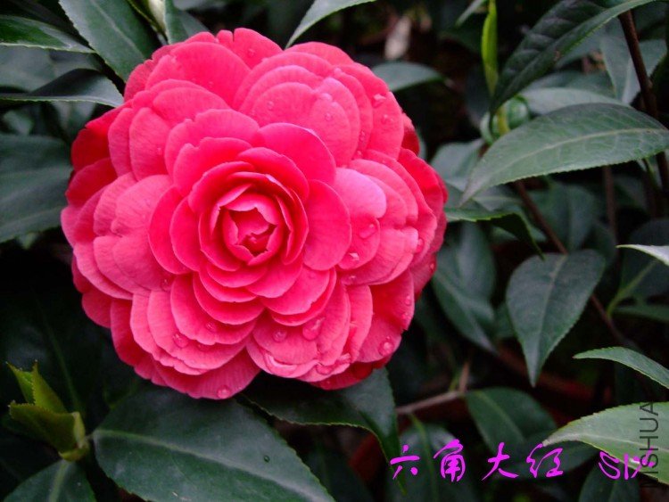 ���Ǵ�� 10-3-30(1).jpg