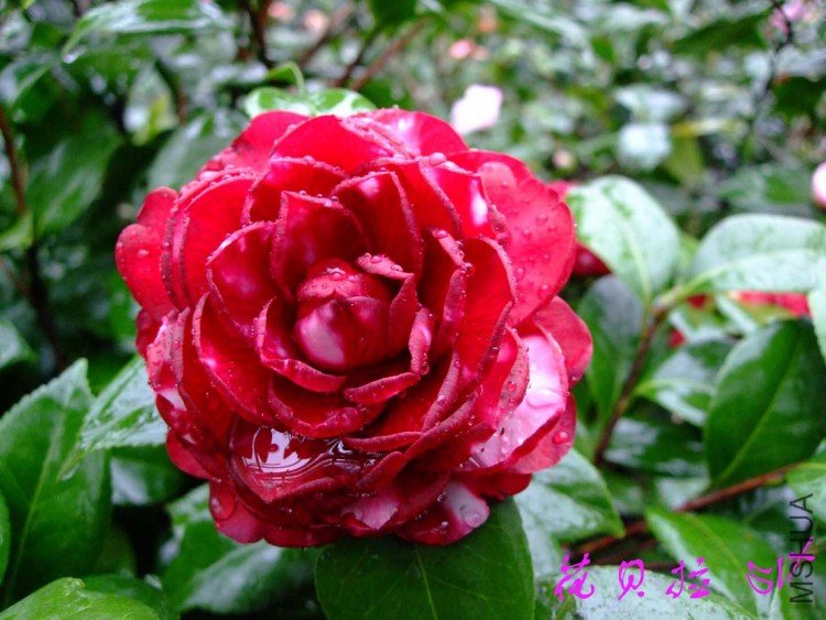 ������ 10-3-30 (3).jpg