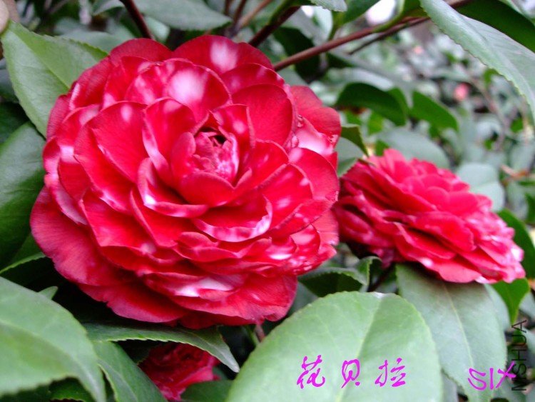 ������ 10-3-30 (2).jpg