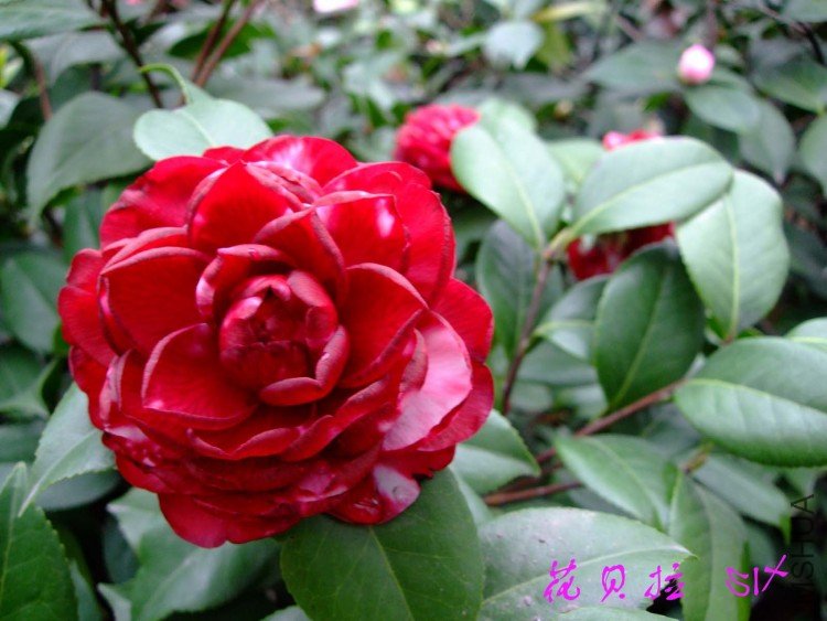 ������ 10-3-30(1).jpg